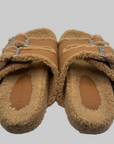 Teddy's Slipper