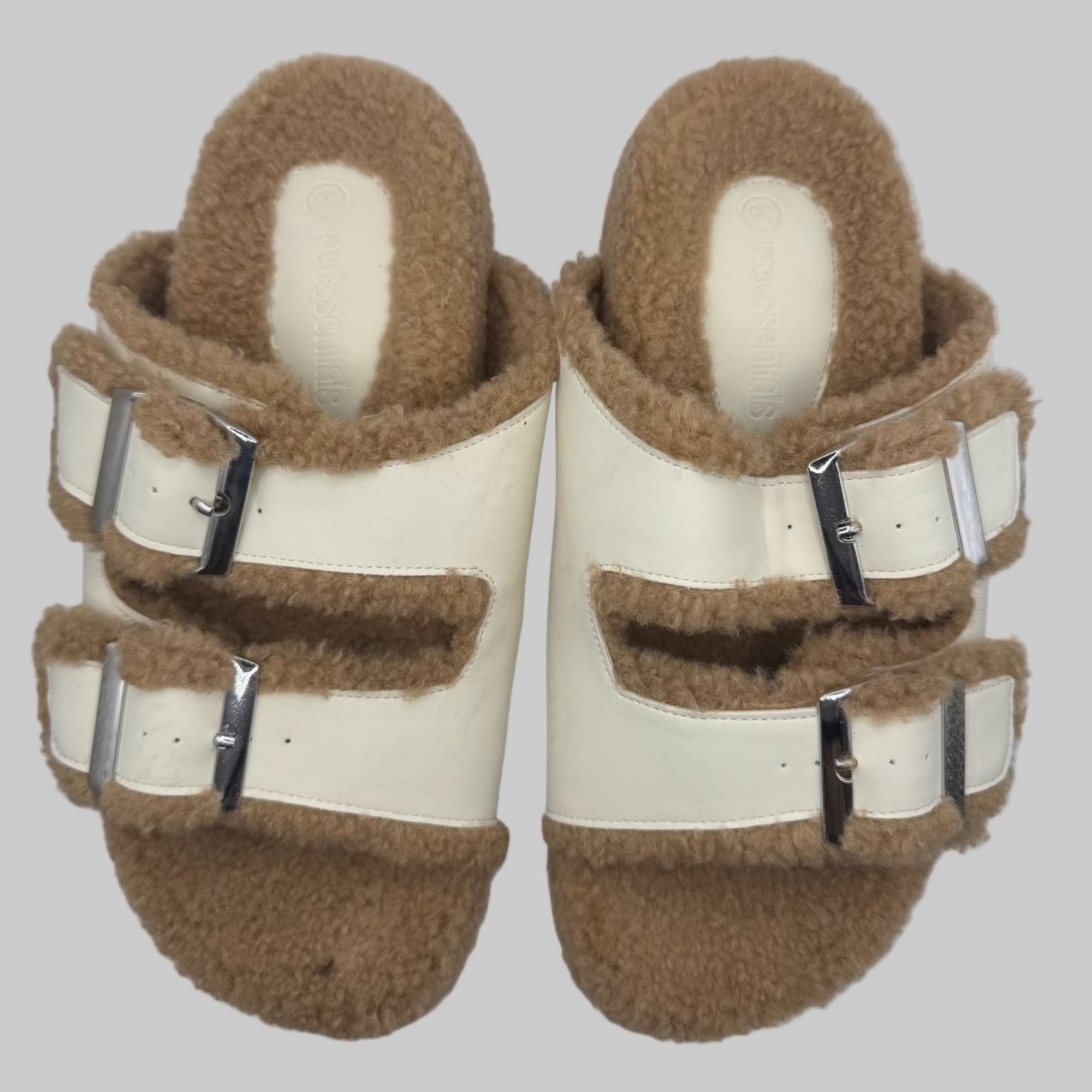 Teddy&#39;s Slipper