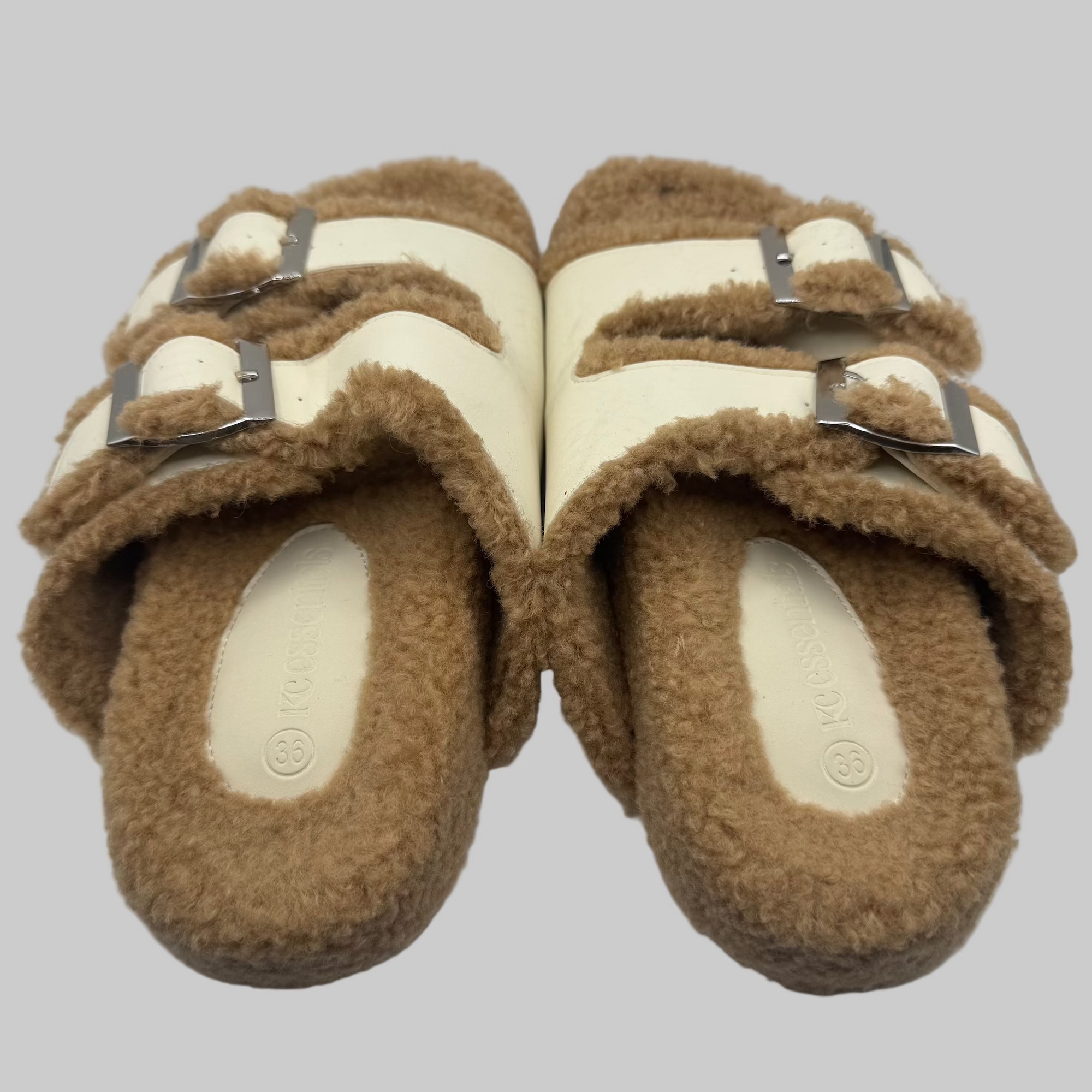 Teddy&#39;s Slipper